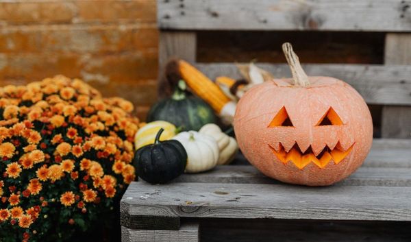 What’s New This Week: 10/18/23