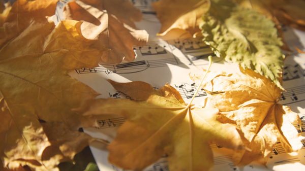 10 Autumnal Arrangements