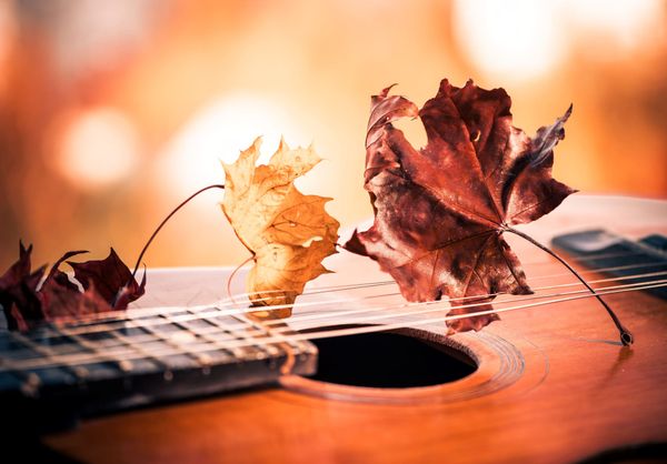 🎵 Musicnotes Weekly Digest #3: Big Deals & Must-Reads! 🎵