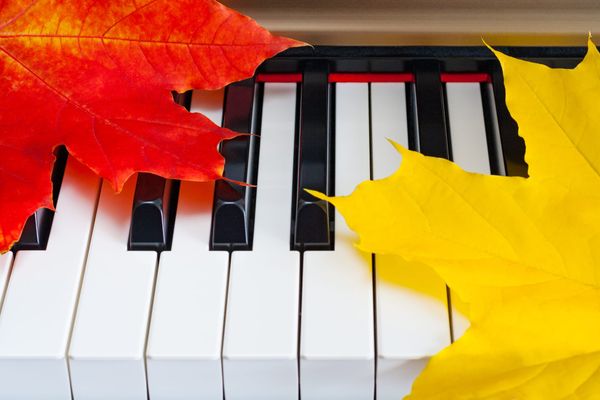 red leaf,yellow leaf on piano