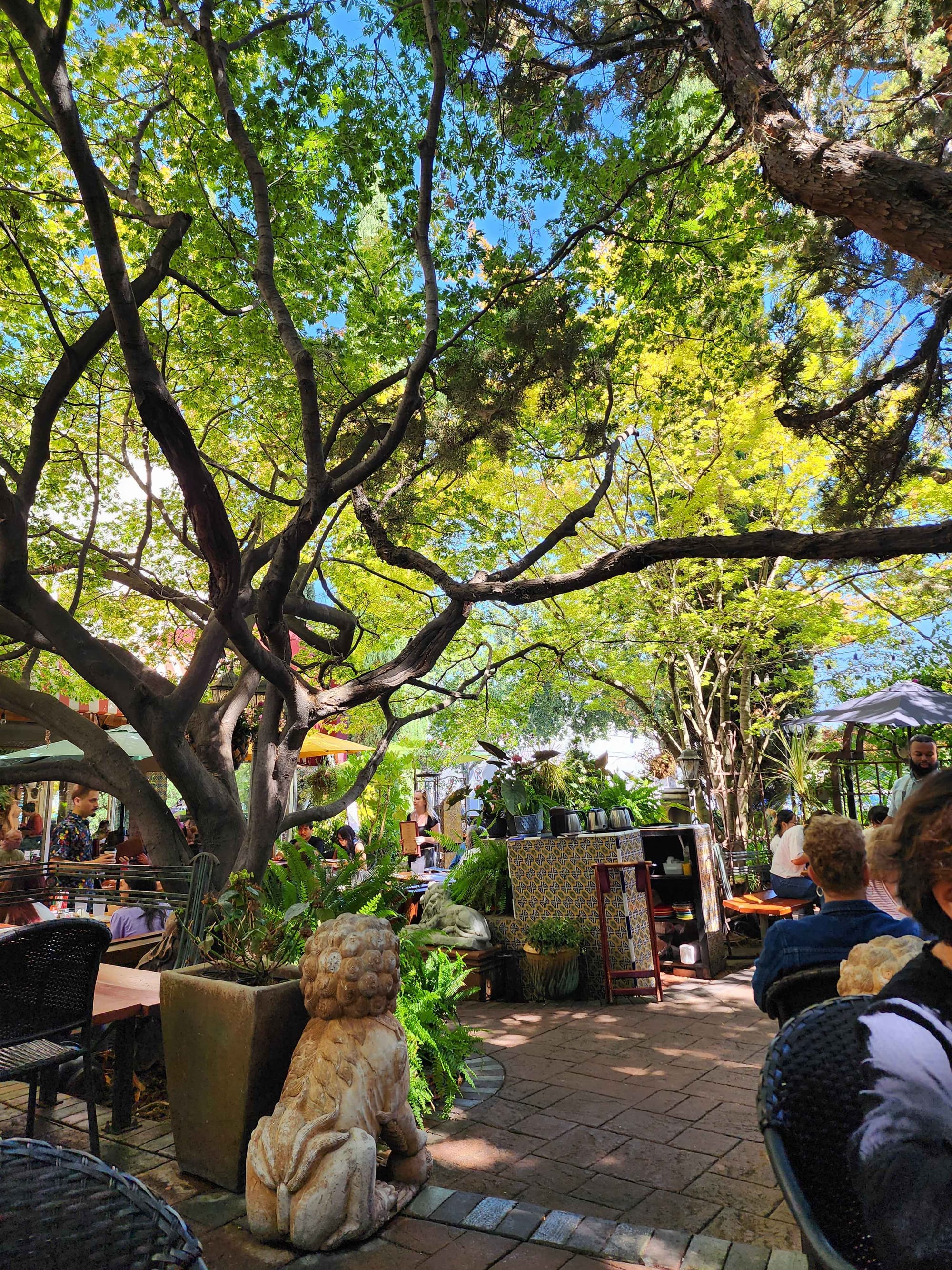 Undertrees