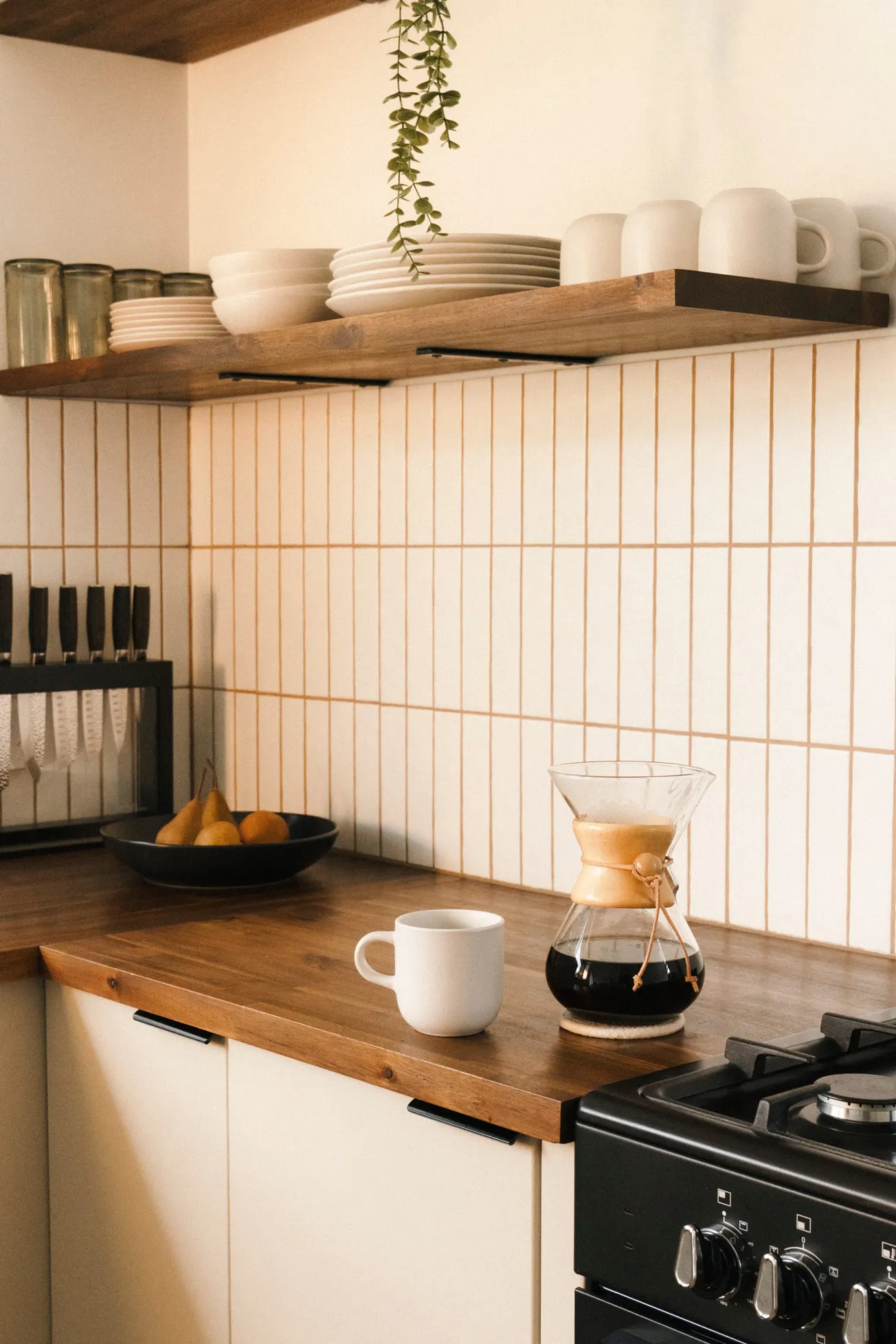 She spent $160,000 on the kitchen and cooks on eighteen inches of counter next to the stove