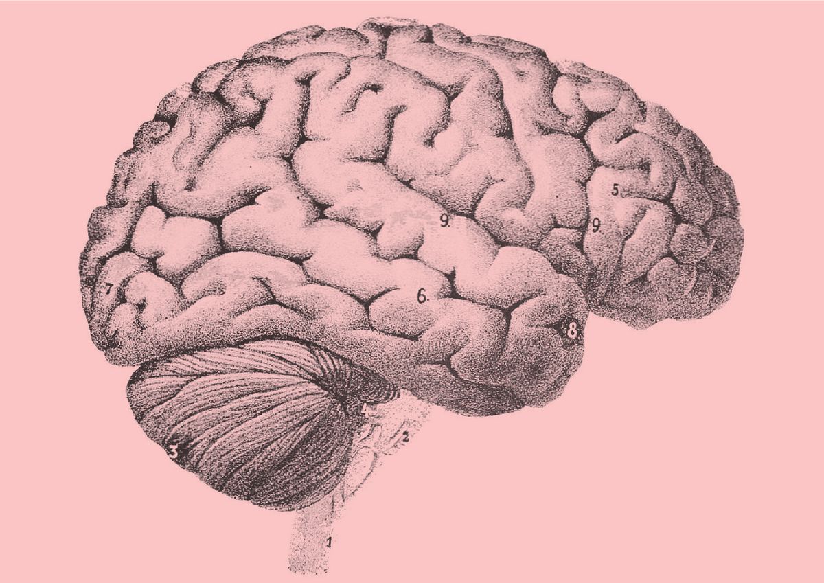 An anthropologist on Mars