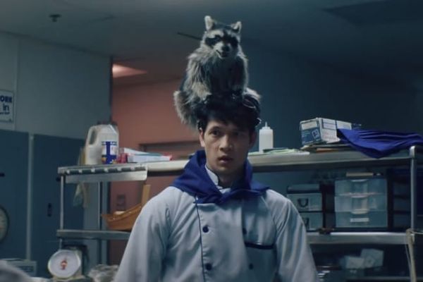 A Raccoon in the Machine
