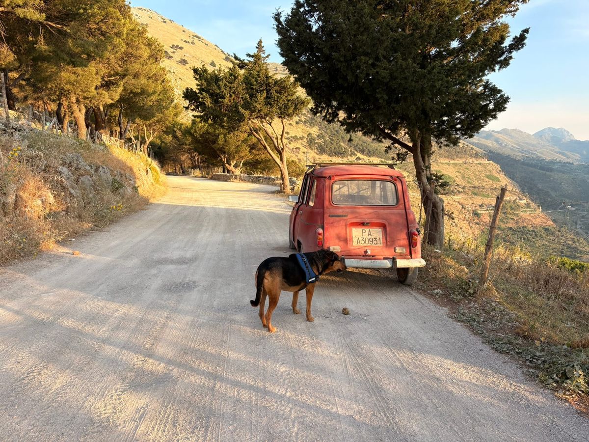 West Sicily vs East Sicily: The Differences We Noticed After Moving Here