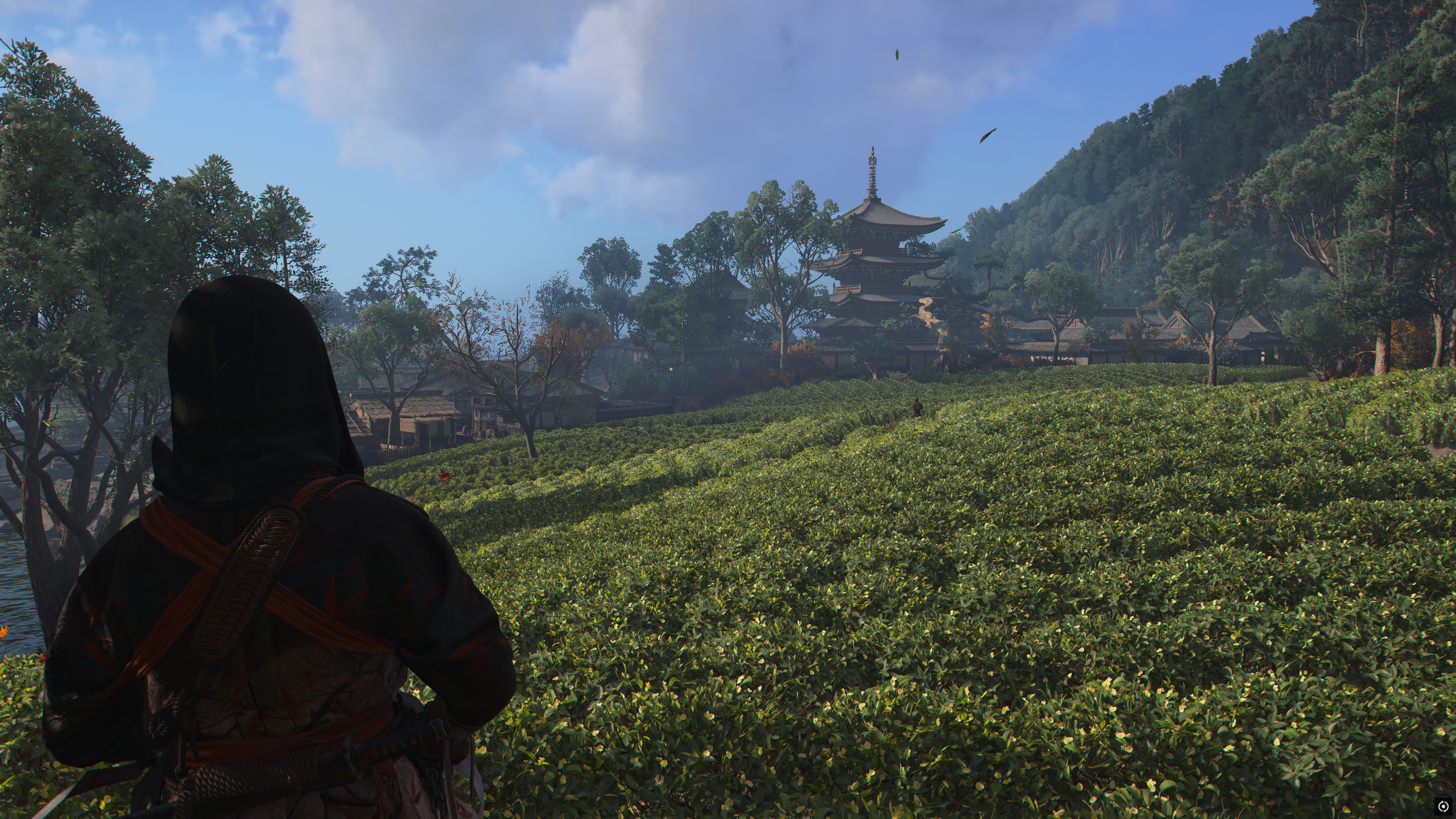 A screenshot from Assassin's Creed Shadows depicting a tea field.