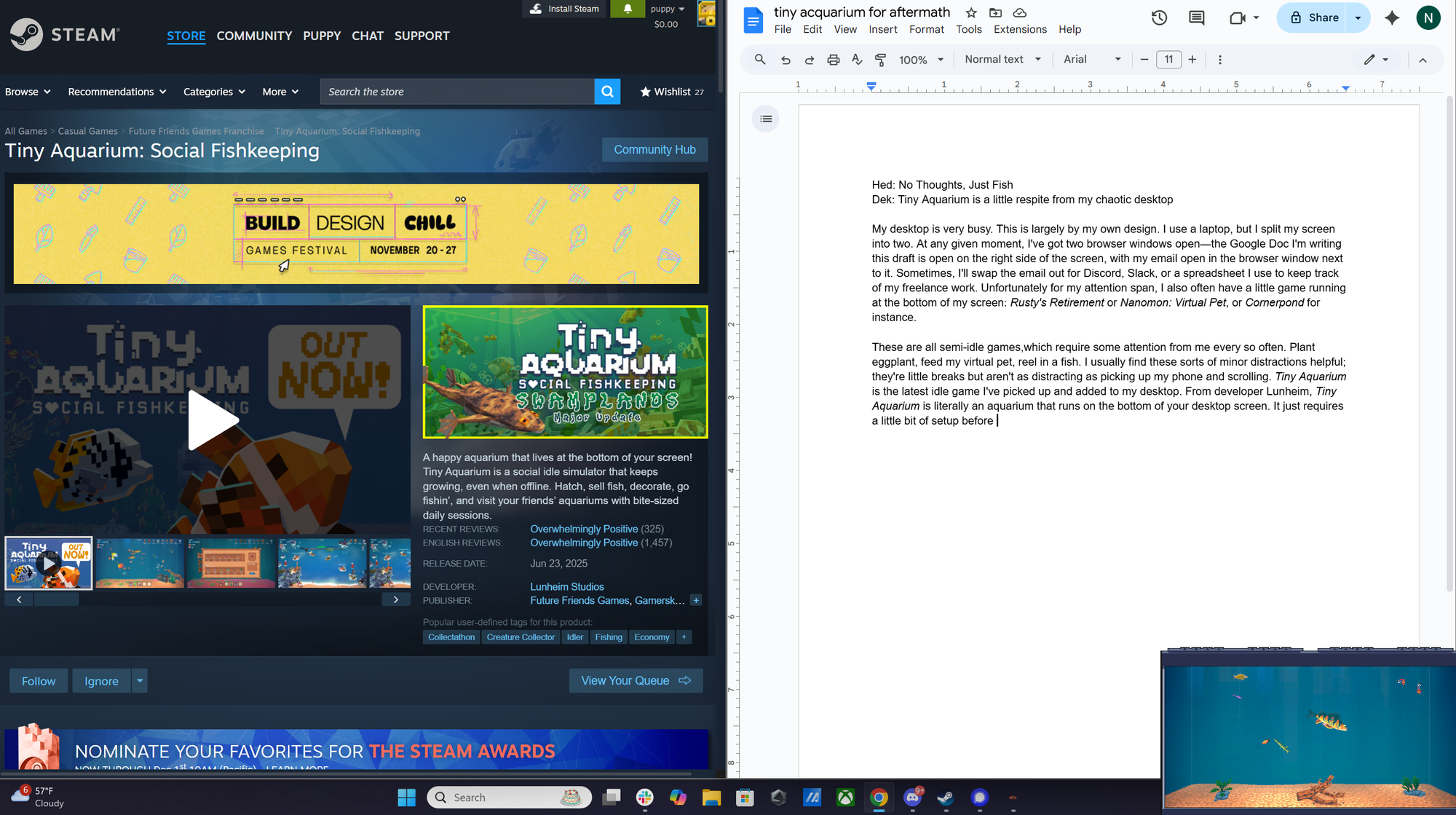 The writer's desktop screen, showing the Tiny Aquarium page on one side and a draft of this blog on another. There's a small aquarium on the bottom right of the screen.