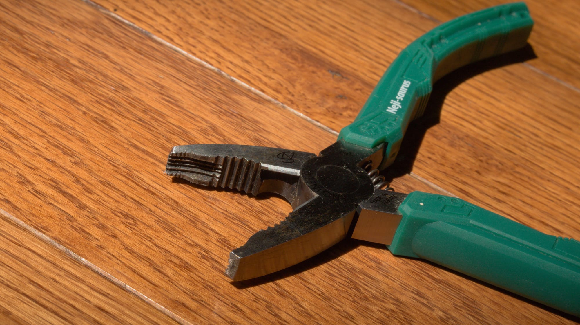 A pair of Neji-saurus on a wood floor, its teeth exposed.