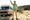 A scene from Breaking Bad in which Walter White stands in front of an RV in the desert wearing nothing but a green button down and underwear, shoes and a gun)