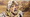 A frame taken from JoJo's Bizzare adventure's Steel Ball Run season, Johnny Joestar is bleeding and screaming.