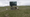 Here's Four Hours Of A Cow Playing EVE Online