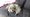 There's An FMV Dog Game