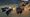 Star Wars: Galactic Racer Gives Me What I Want: To Go So Fast That I Explode