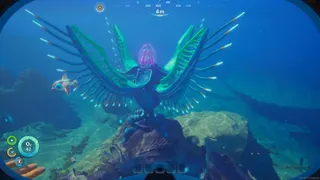 Sshh, Just Let Me Look At The Fish