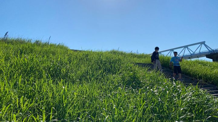 Brad in Japan: Work Week Two