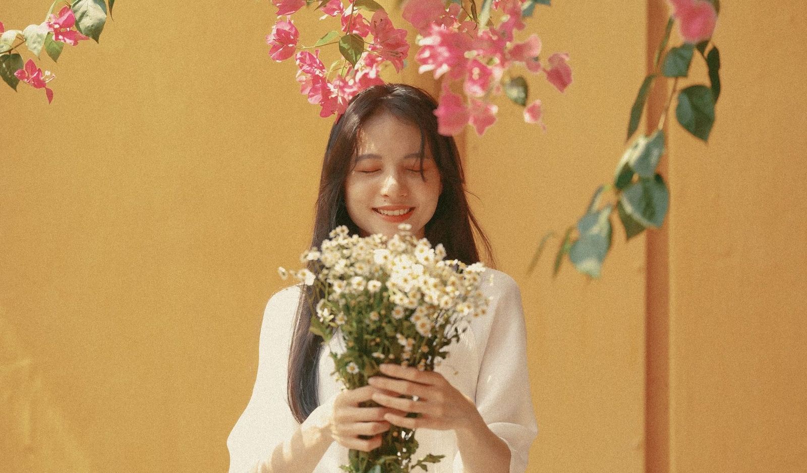 SEN TRẮNG (HỘI AN)