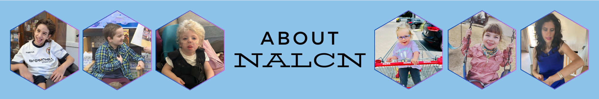 The NALCN Channelosome