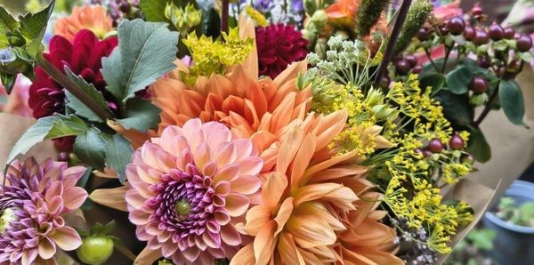 Growing Forward: Channeling Hope in Every Season
