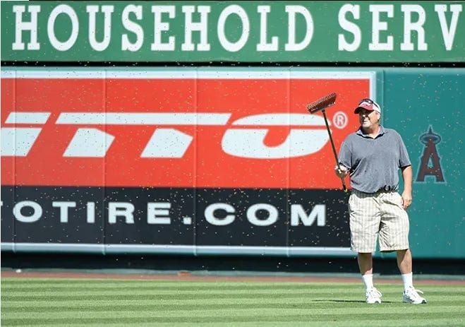 The Mariners Have Their Own Bee Story