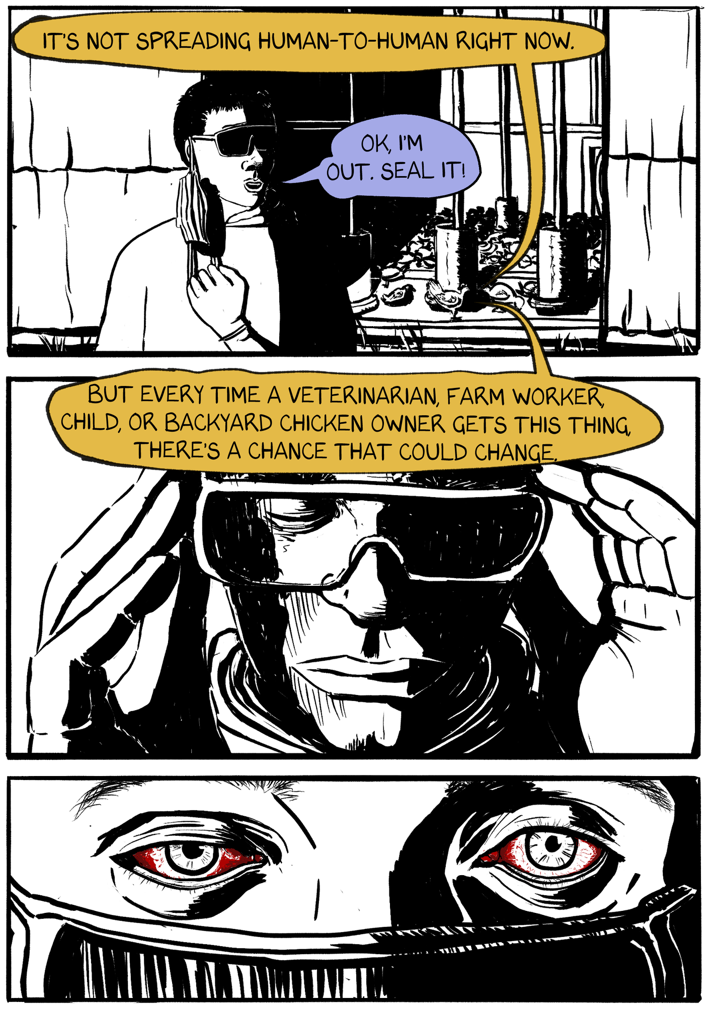This page has three panels. The first shows a human walking away from a chicken enclosure. They are removing their mask but still wearing goggles. The chicken that we can say in the background says. "it's not spreading human to human right now. But every time a veterinarian, farm worker, child, or backyard chicken owner gets this thing, there's a chance that could change." The person says "Ok, I'm out. Seal it!." in the next panel the person starts to remove their goggles. in the third panel we can see the person's eyes. They are red and bloodshot. it's conjunctivitis, a sign of a bird flu infection. 