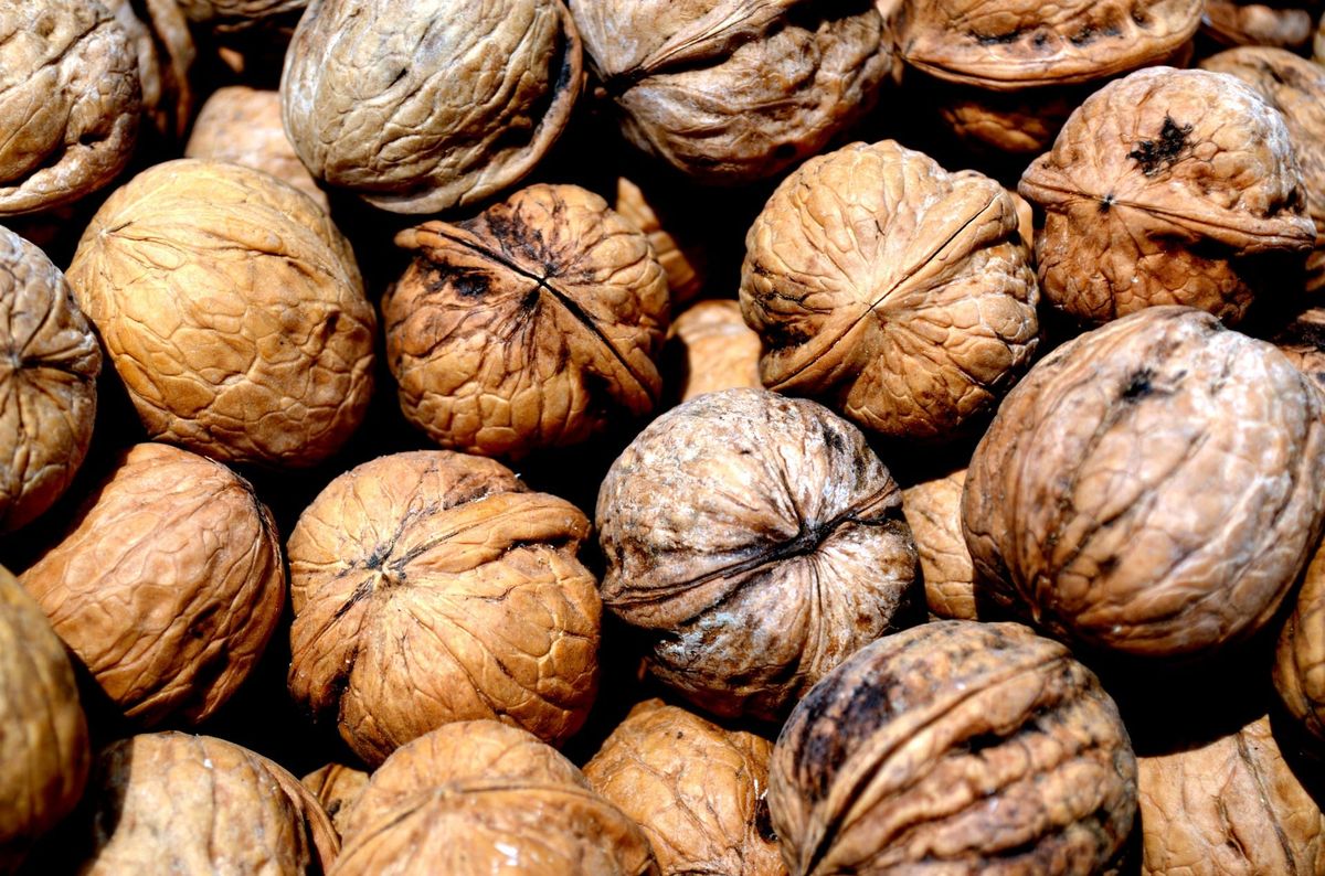 Walnut - From Hacksmarter