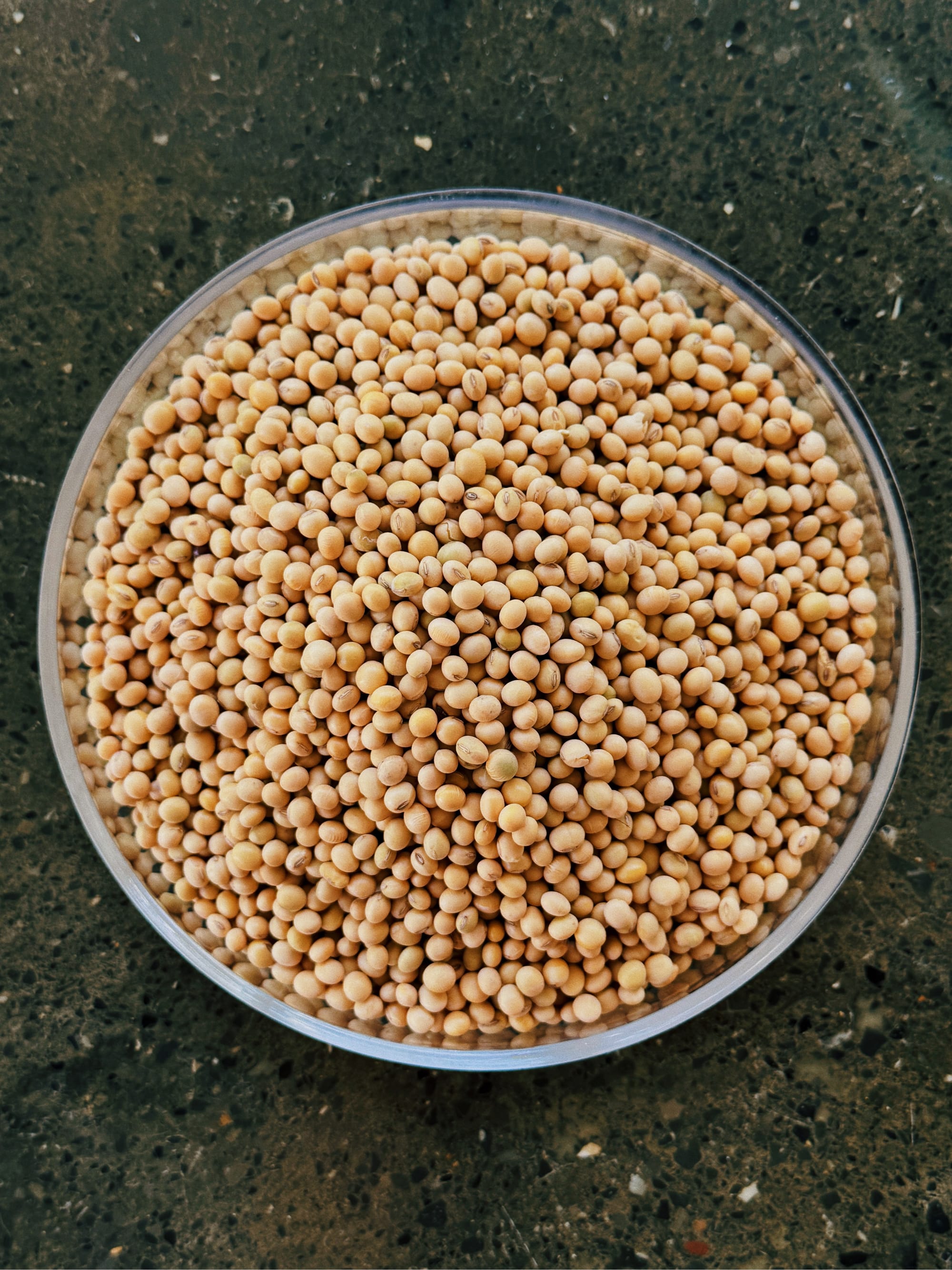 frijoles-de-soya-tempeh.JPG