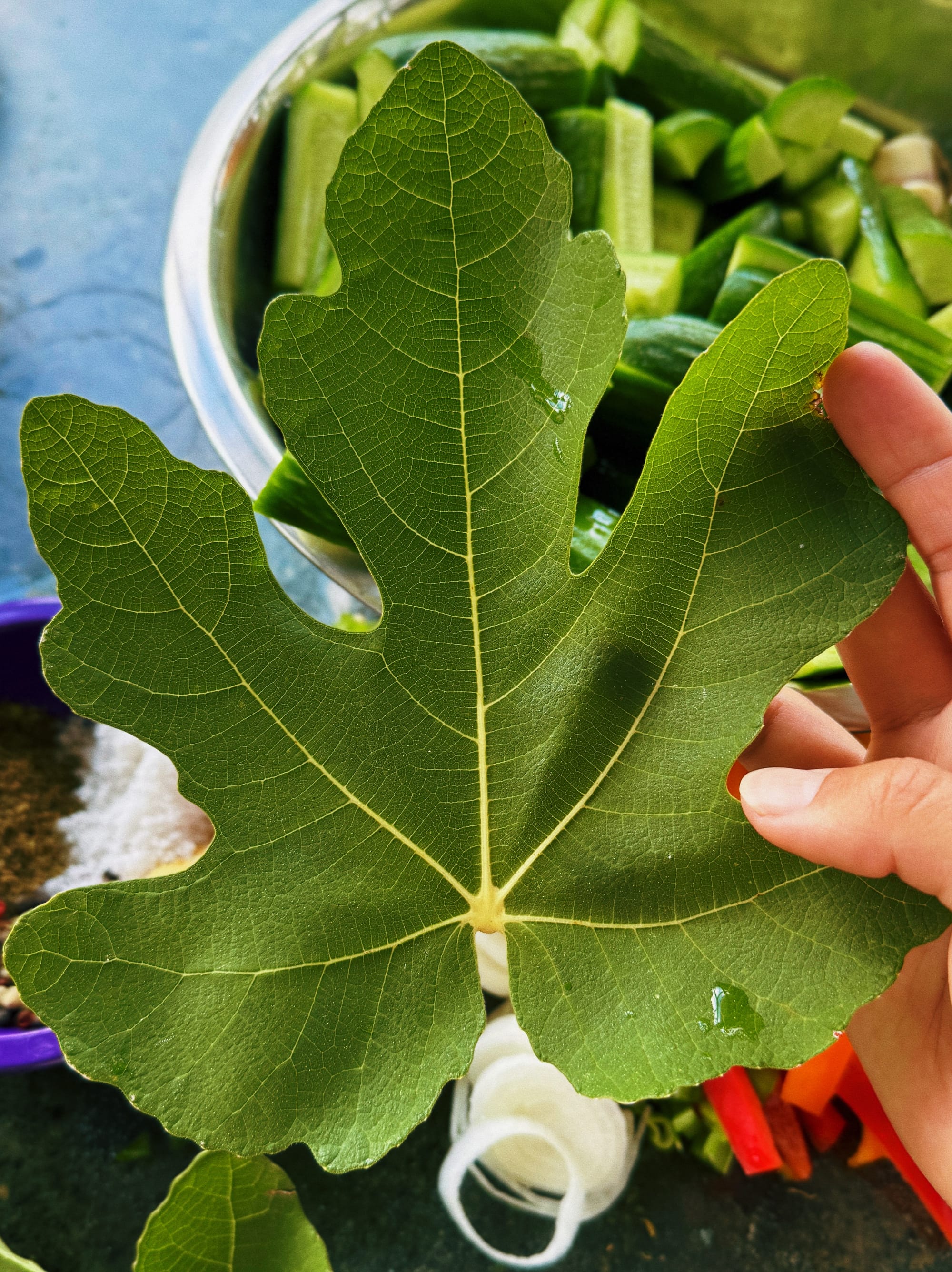 hoja-de-higo-pepinillos-mai-dirty-hands.JPG