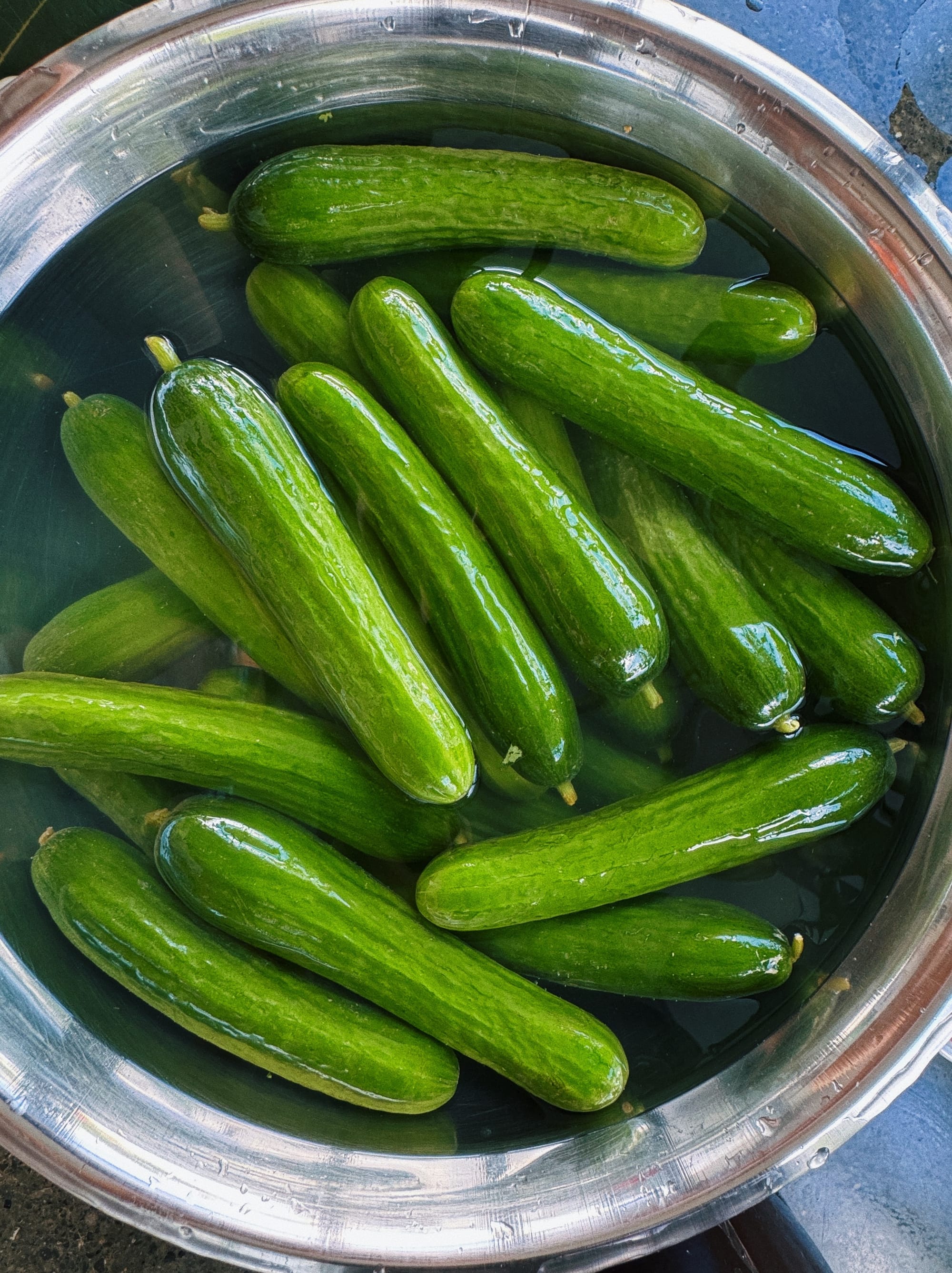pepinos-pepinillos-mai-dirty-hands.JPG