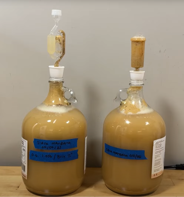 Sidra de Manzana: Guía Práctica