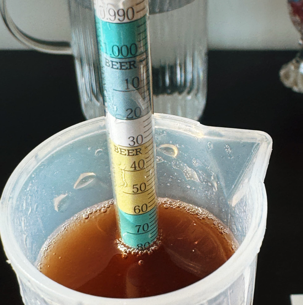 Densidad específica