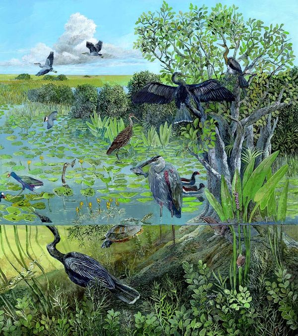 Adaptación climática y regional