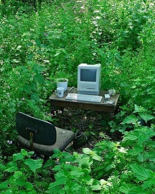 Planificador de huertos