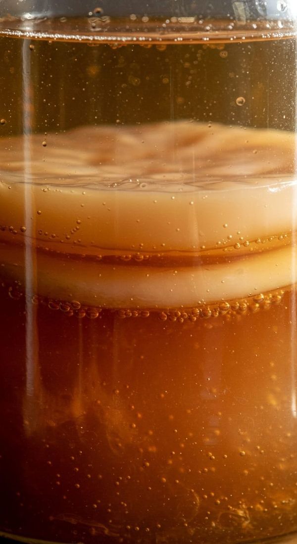 Fermentación primaria