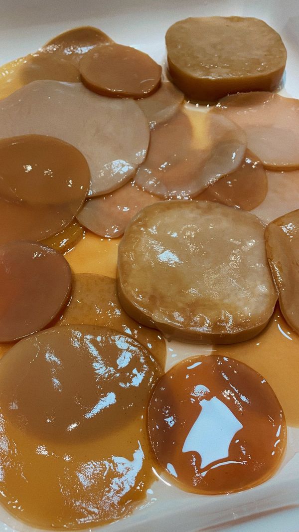 SCOBY