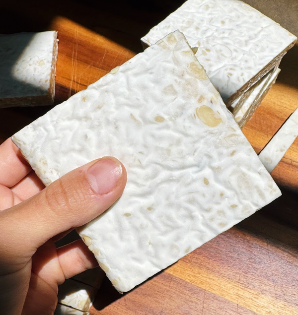 Rhizopus oligosporus