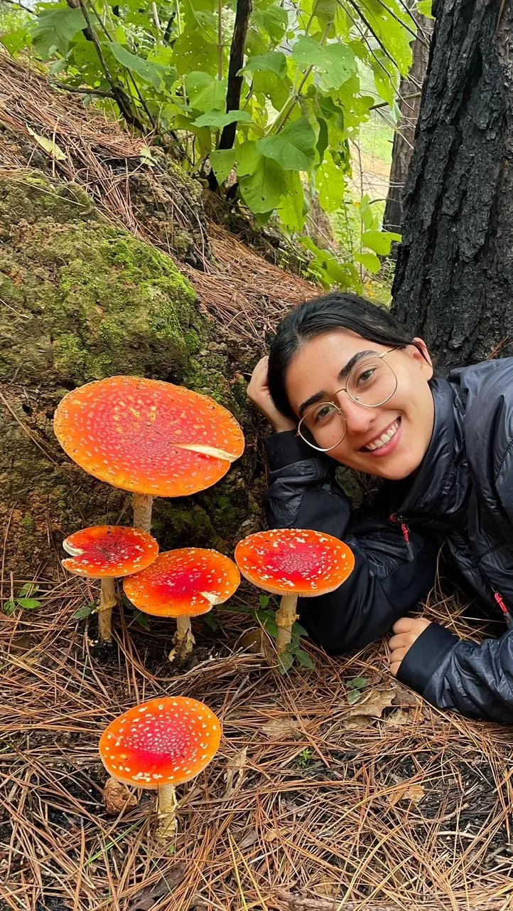 Header featured image