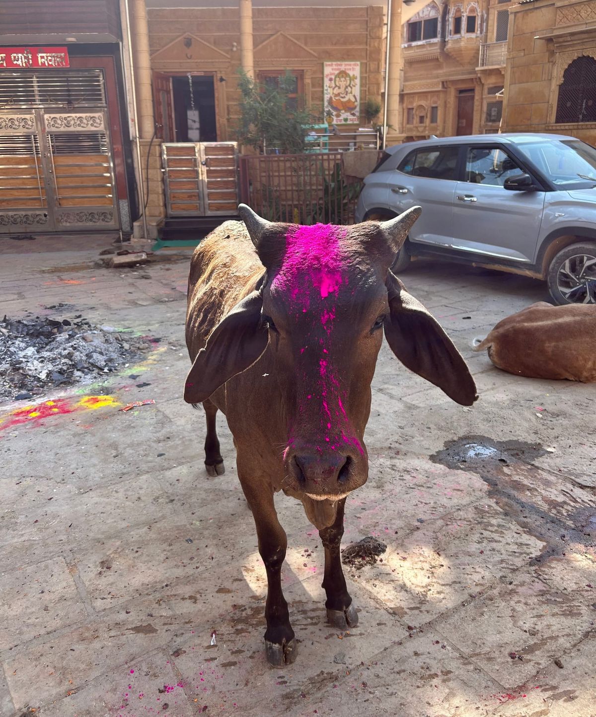 What I love about India