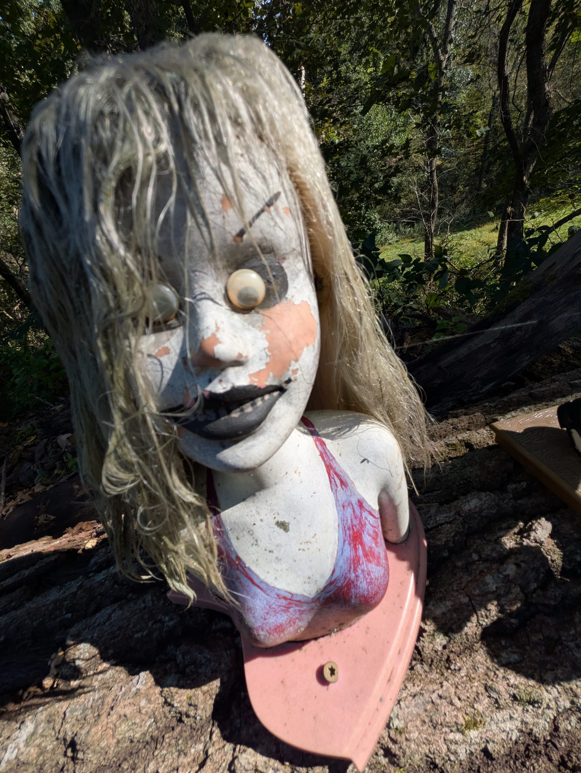 Creepy doll bust with long dirty blond hair and googly eyes