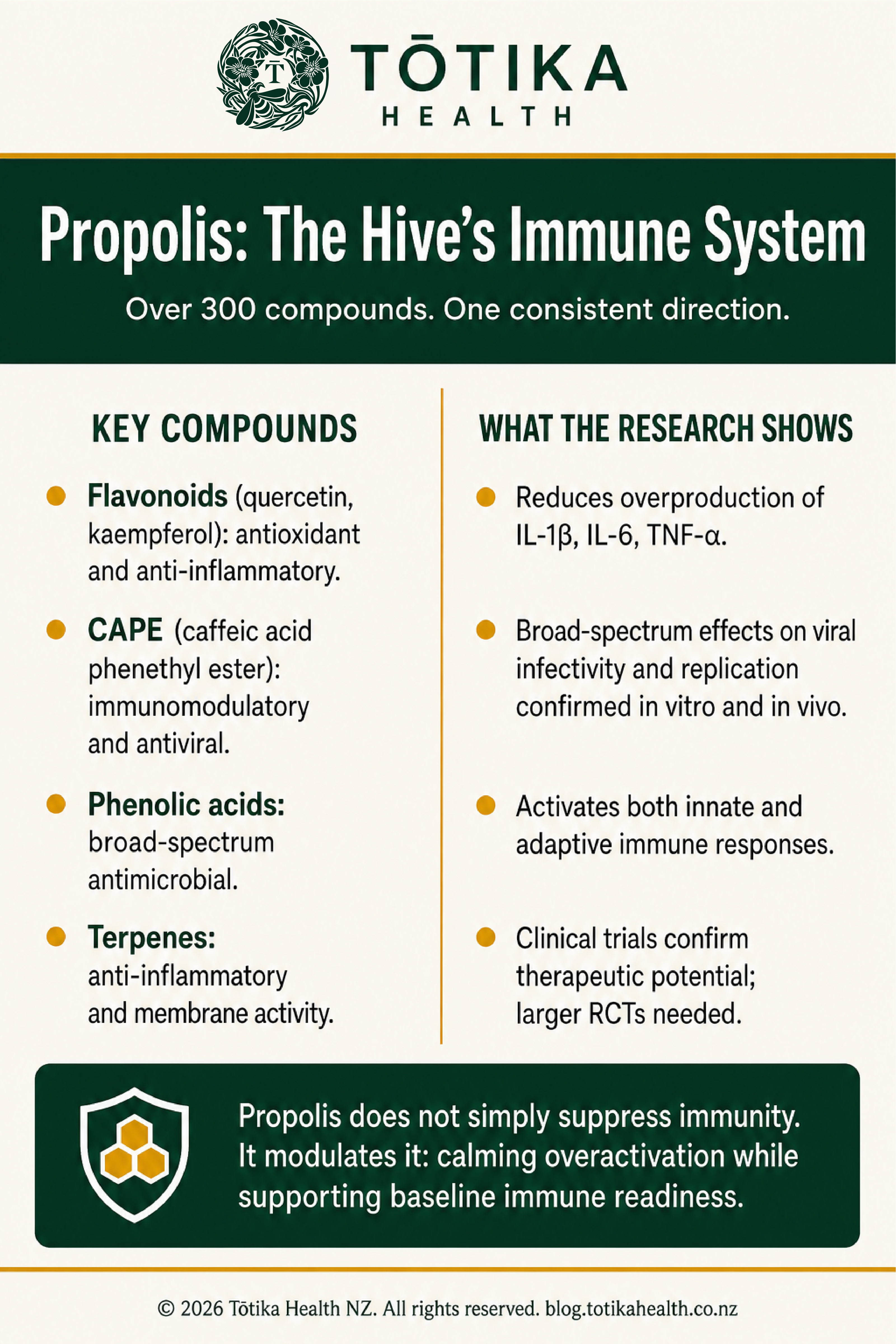 Totika Health NZ infographic showing key compounds in New Zealand propolis including flavonoids and CAPE and their antiviral and immunomodulatory actions supported by peer-reviewed research.