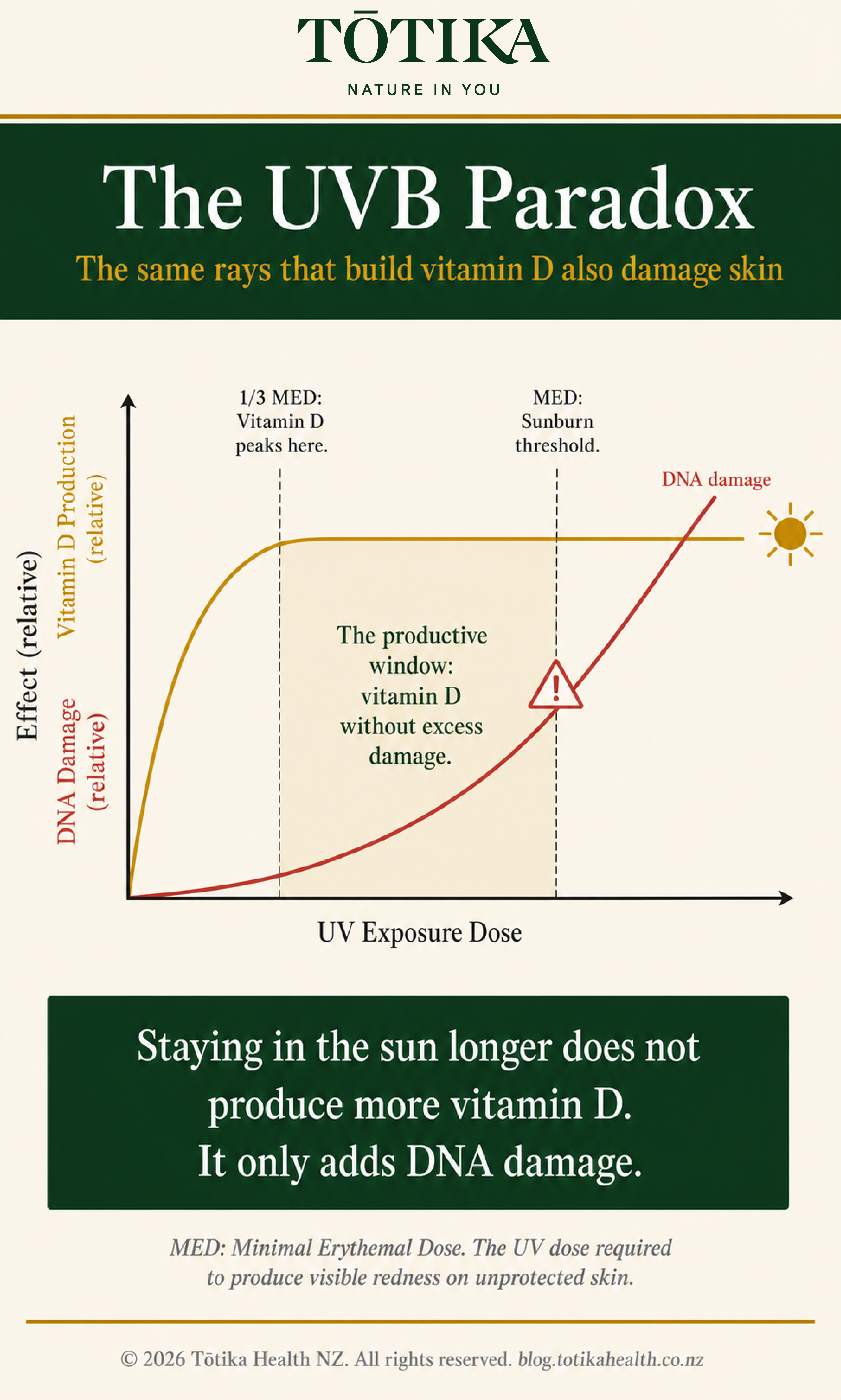 Totika Health NZ diagram showing vitamin D synthesis plateauing at one third of the sunburn threshold while skin DNA damage continues rising with additional UV exposure beyond that point.