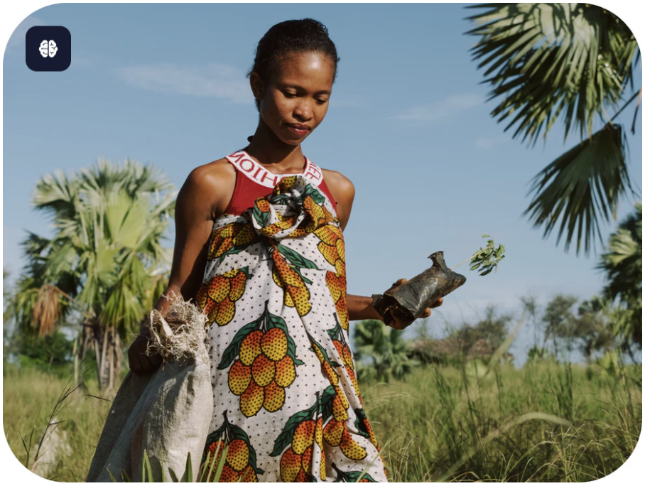 Explore Ecosia, the unique search engine 