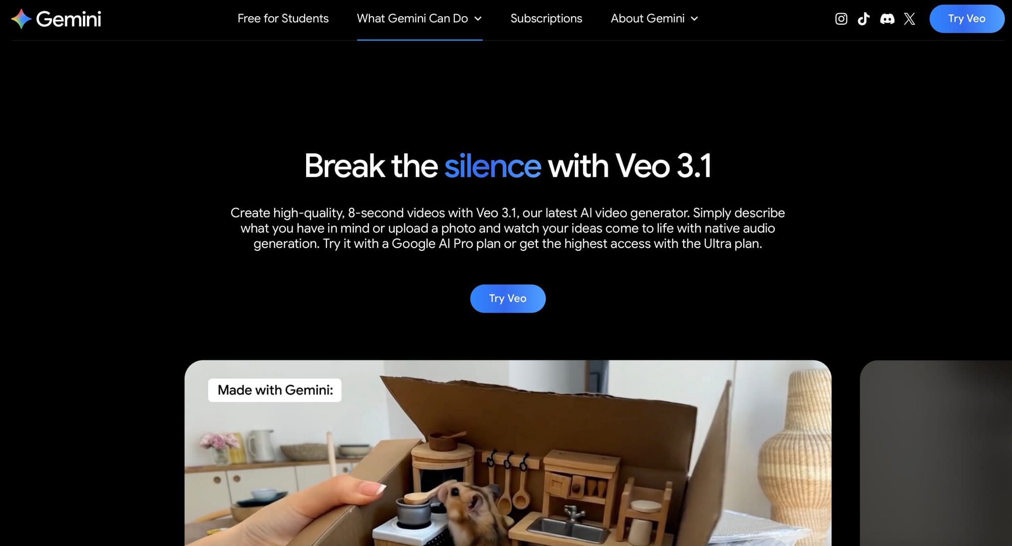 Open the official website and click on the "Try Veo" button