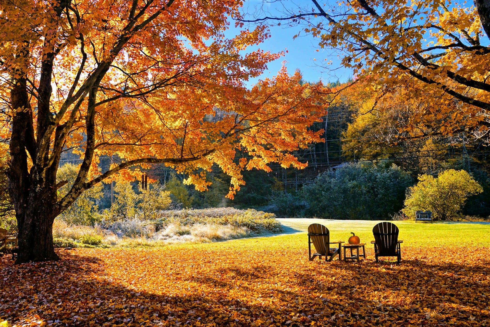 The Vermont Phenomenon: America's Fastest AI Growth