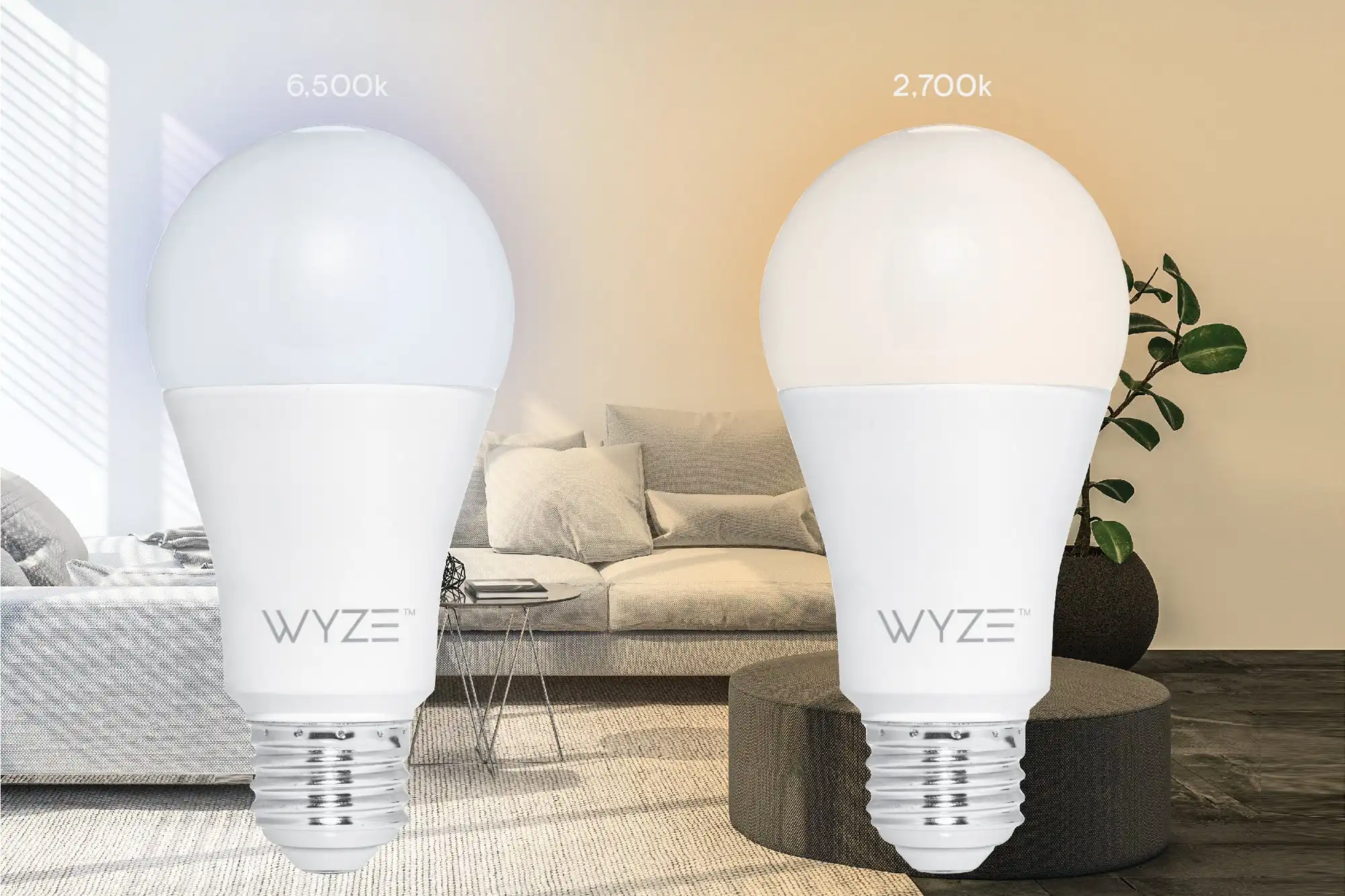 Wyze Smart Lights