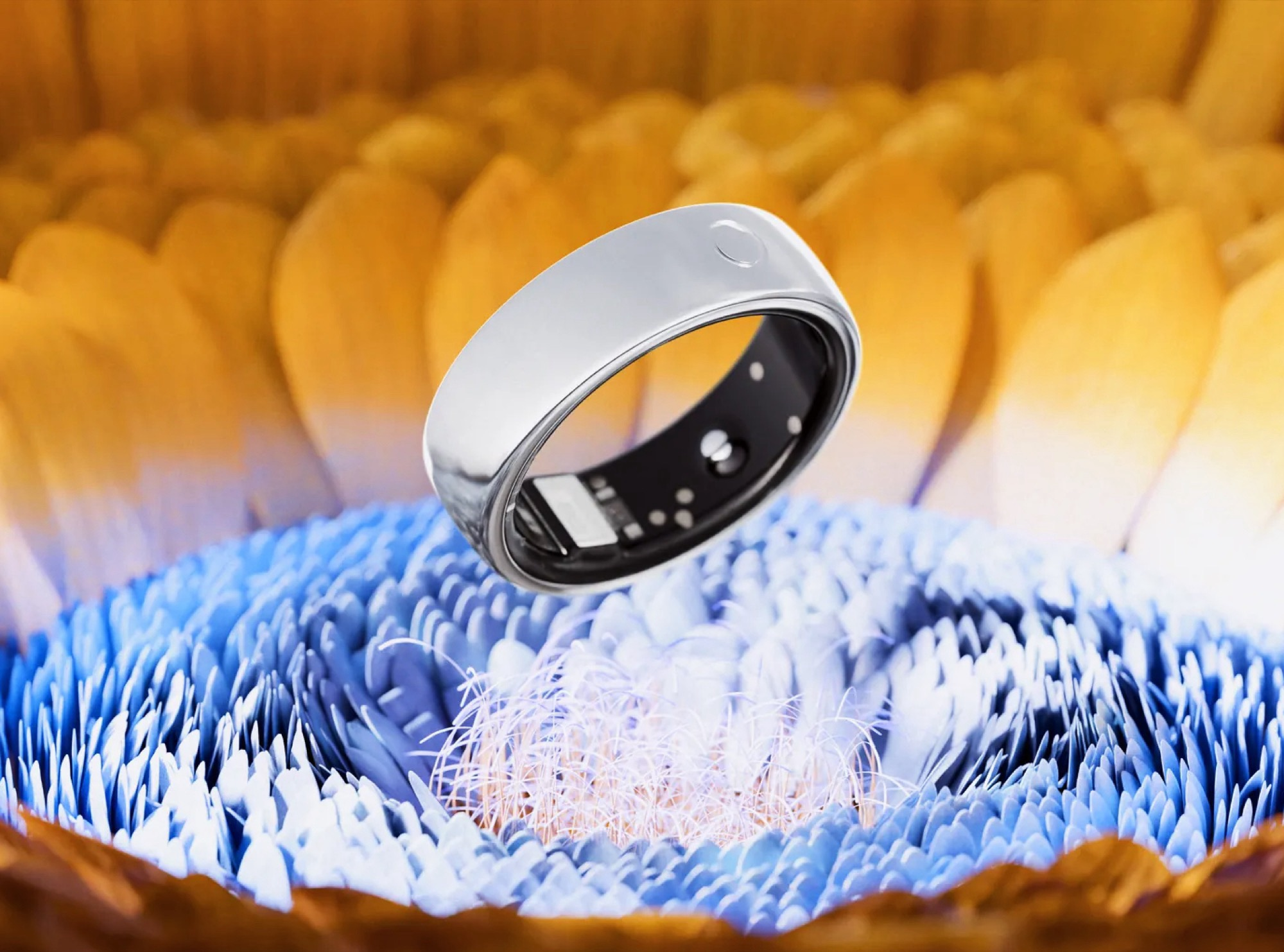 Circular Ring 