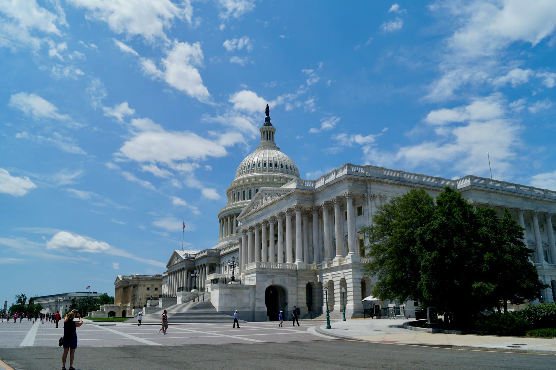 Government and Public Sector AI Usage