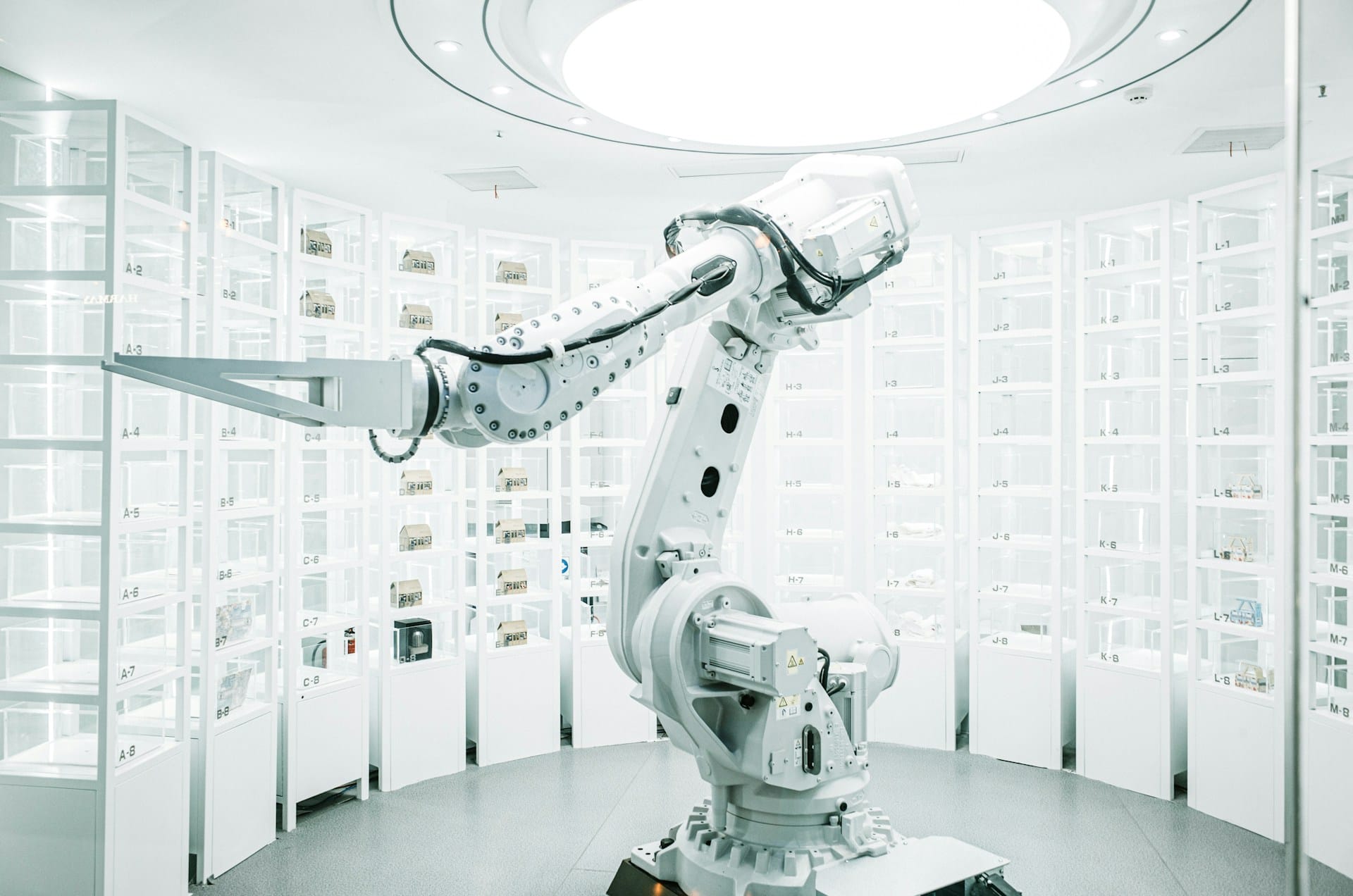 Technology and Software Development AI