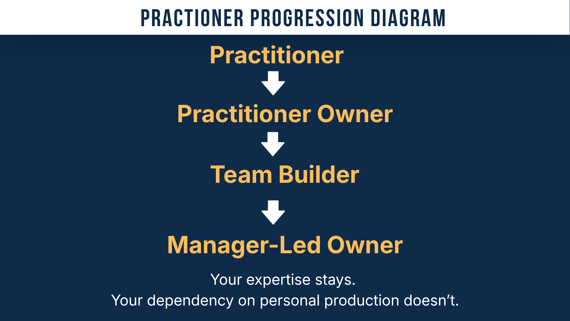 Diagram showing the progression from practitioner to practitioner owner, team builder, and manager-led owner, shifting from personal capacity to organizational capacity.