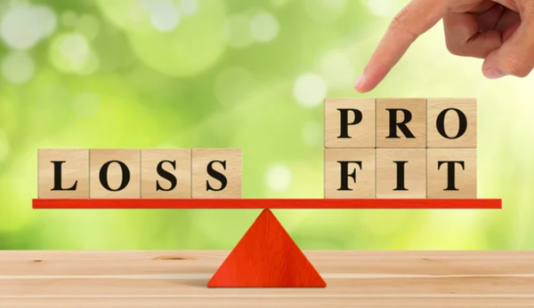How to Create a Pro-Forma Profit and Loss Statement for Your New Business