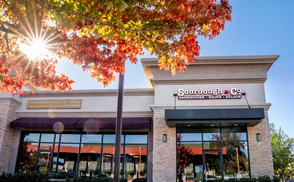 From Operations and Technology to Sourdough & Co. Ownership